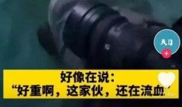王相军爆料了哪些猛料视频,视频揭秘事件真相